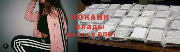 прущие грибы Белоозёрский