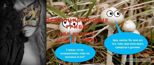 прущие грибы Белоозёрский