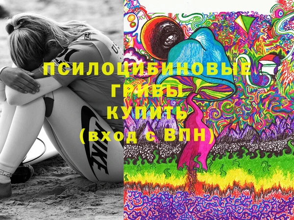 прущие грибы Белоозёрский