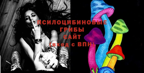 прущие грибы Белоозёрский