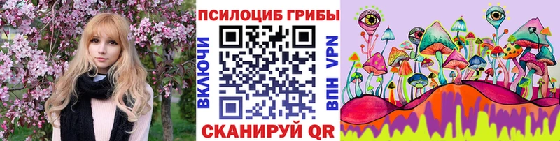 закладка  Высоцк  Галлюциногенные грибы мицелий 