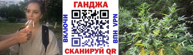 Канабис семена  наркошоп  Высоцк 